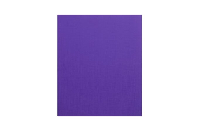 PE Binder A4 2 Ring 25mm Purple