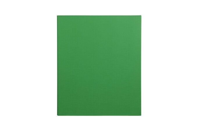 PE Binder A4 4 Ring 25mm Green